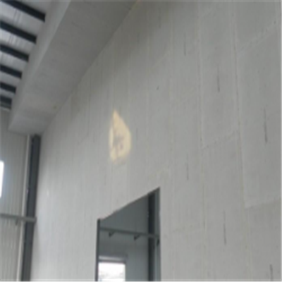 乐昌宁波ALC板|EPS加气板隔墙与混凝土整浇联接的实验研讨
